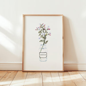 Art Print - Jasminum