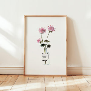 Kunstdruck - Monarda didyma