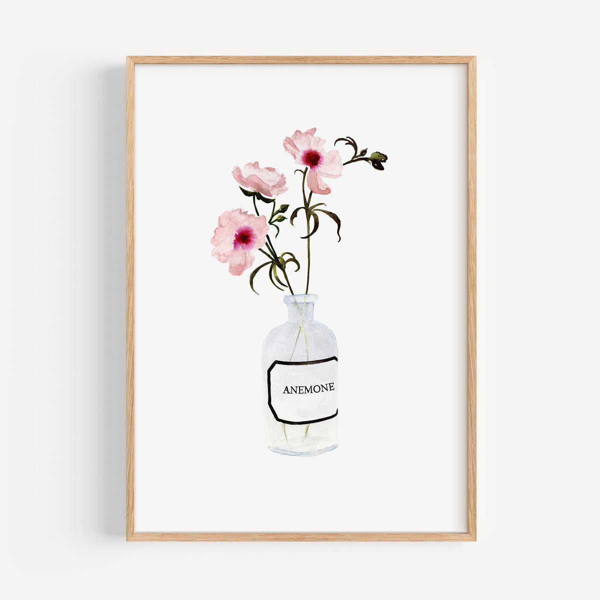 Kunstdruck - Anemone | Rose