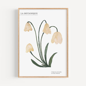 Kunstdruck - La fleur blanche