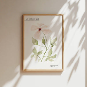 Kunstdruck - La fleur rose