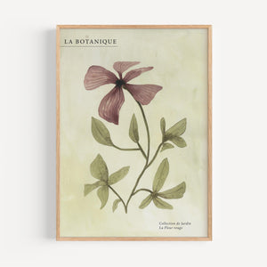 Kunstdruck - Fleur rouge I