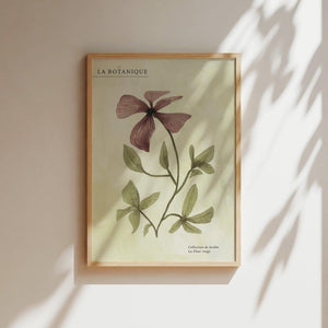 Kunstdruck - Fleur rouge I