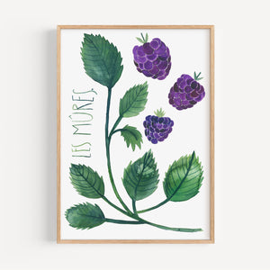 Art print - Les Mures