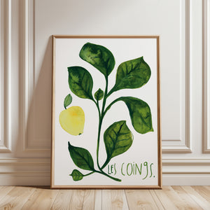 Art print - Les coings