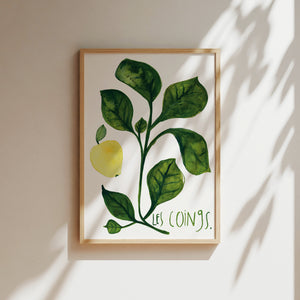 Art print - Les coings