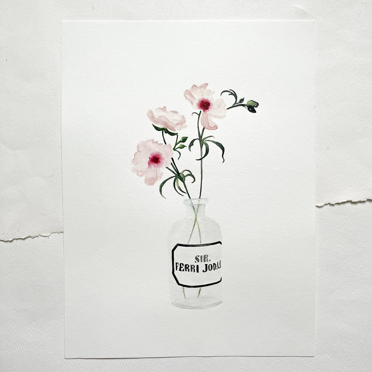 Original illustration | Anemone Rose