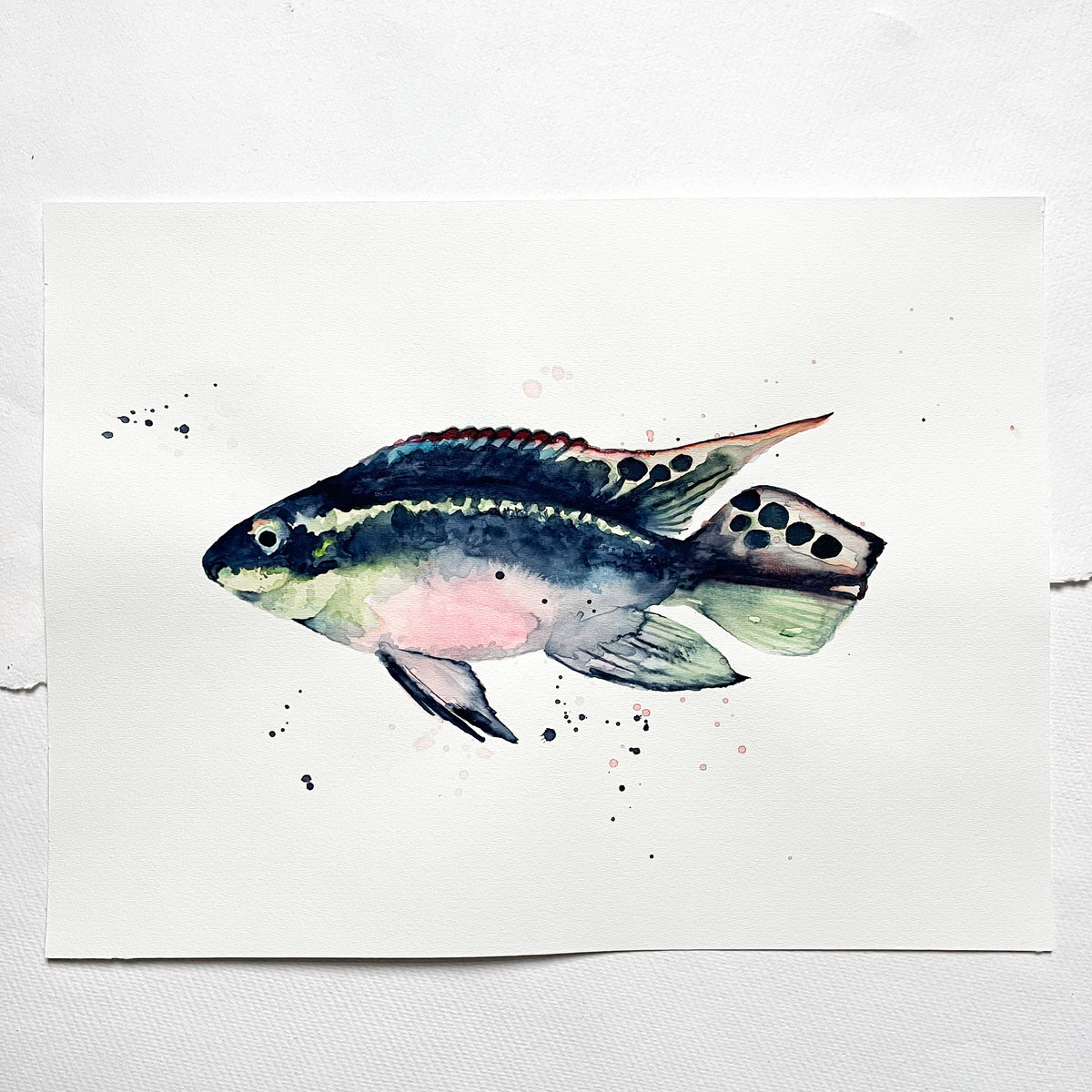 Original illustration | Blue Fish