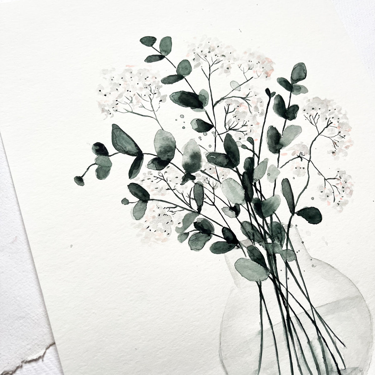 Original-Illustration | Pale Eucalyptus