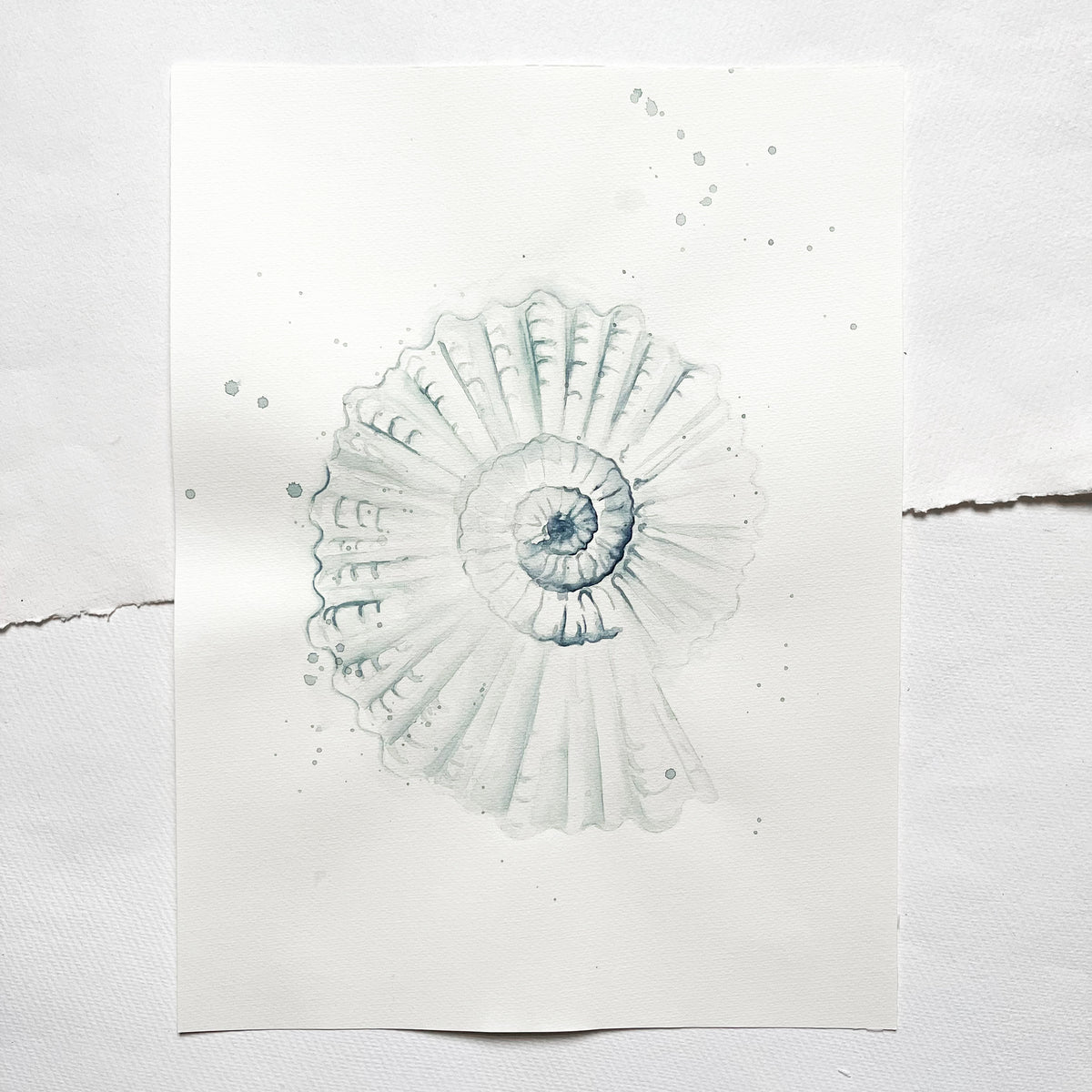 Original illustration | Shell No2