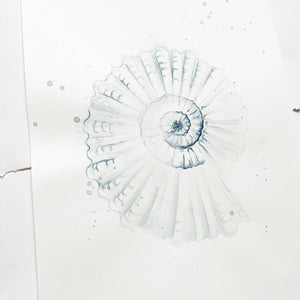 Original-Illustration | Shell No2