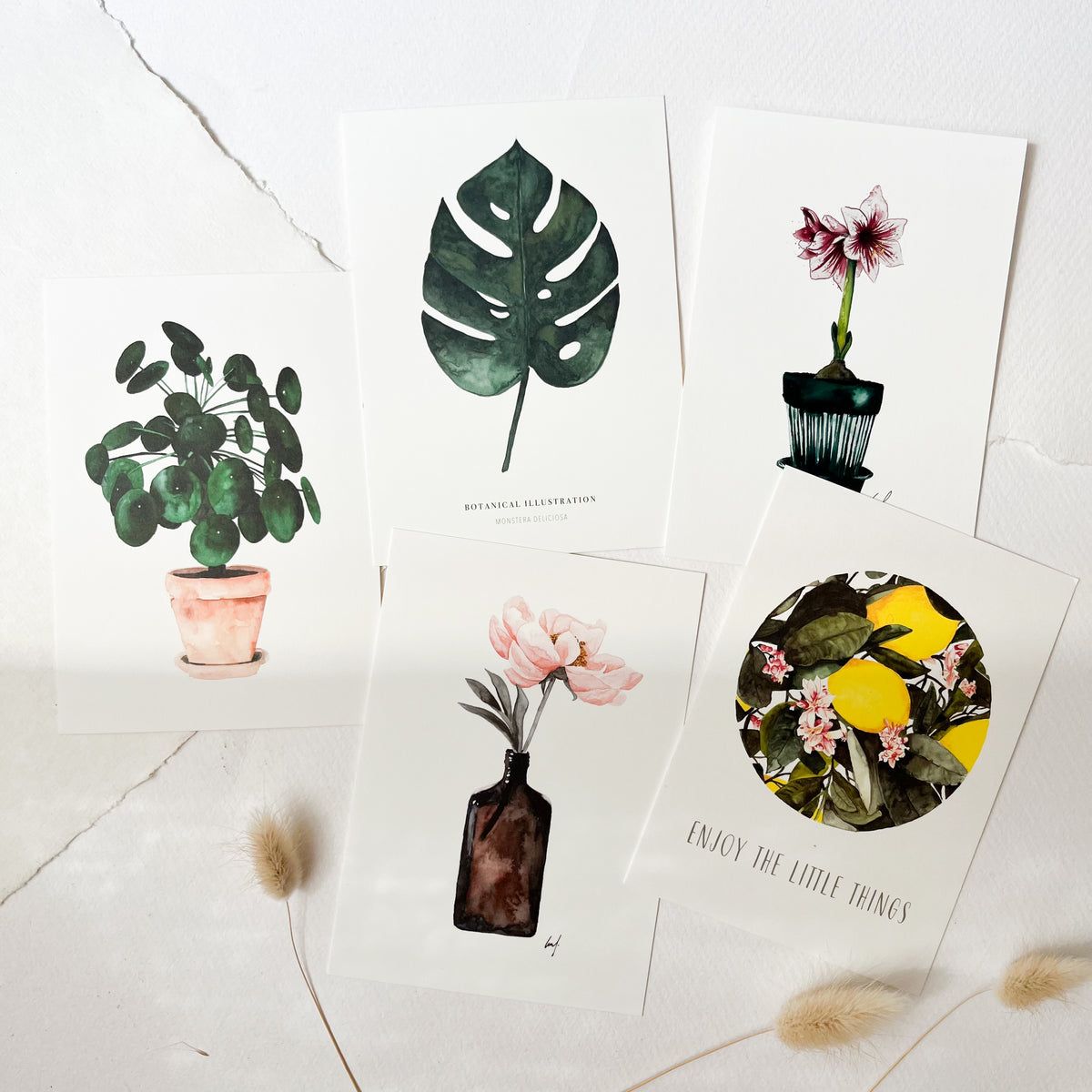 Postcard Set · Botanical Illustrations II
