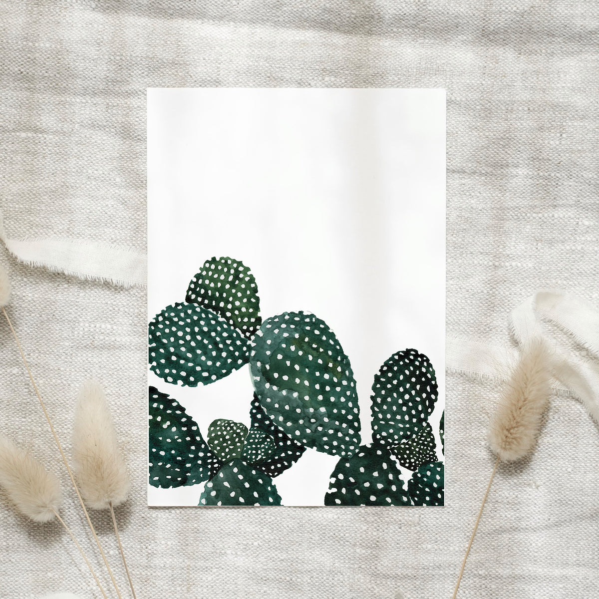 Postcard - Cactus Family