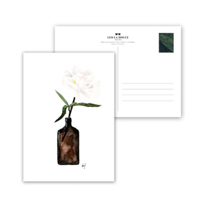 Postcard - Pale Blossom