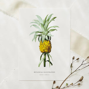 Postkarte - Ananas Comosus