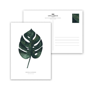 Postkarte - Monstera Deliciosa
