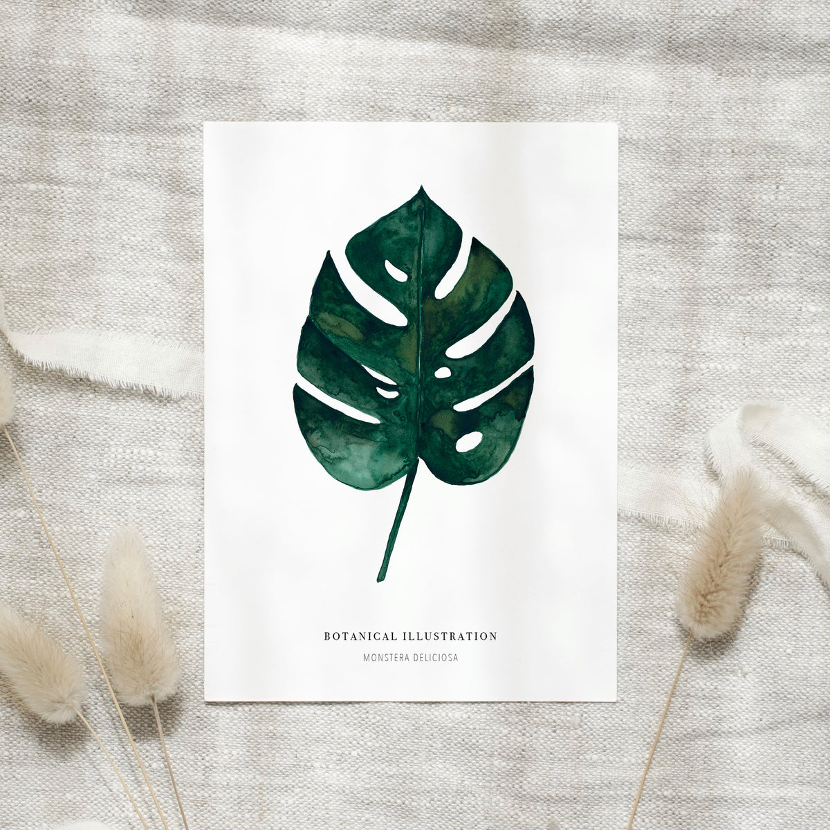 Postcard - Monstera Deliciosa