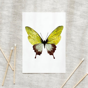 Postcard - Green Butterfly