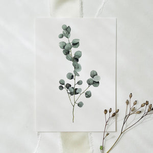 Postkarte - Eucalyptus