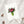 Postkarte · Pink Flowers | Green Vase