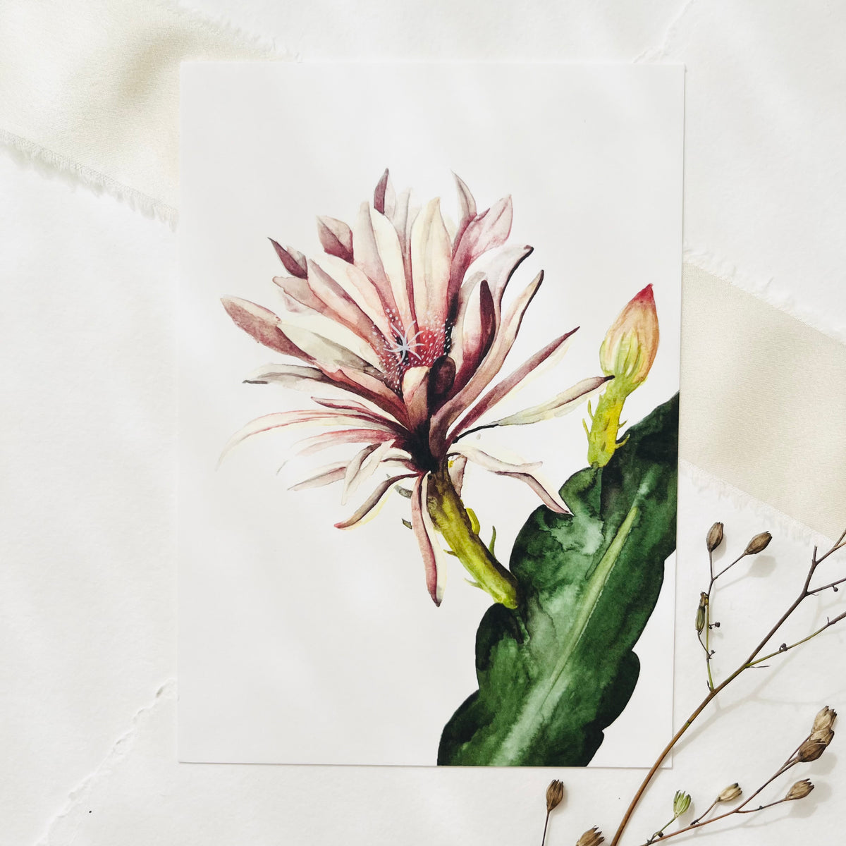 Postcard - Red cactus Flower