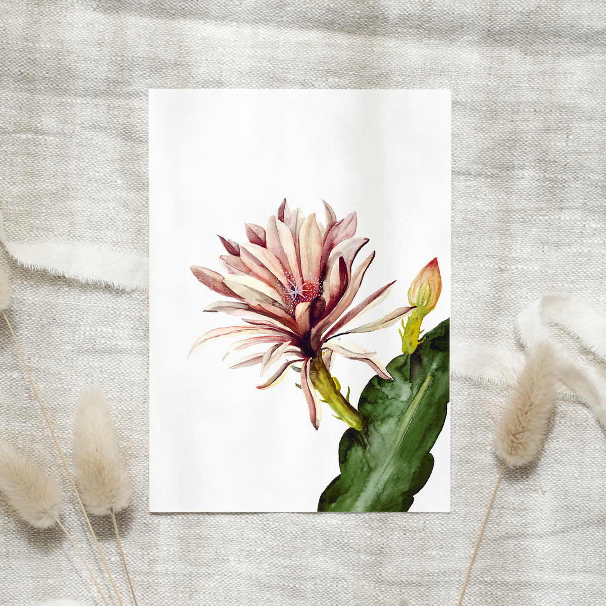 Postkarte - Red cactus Flower