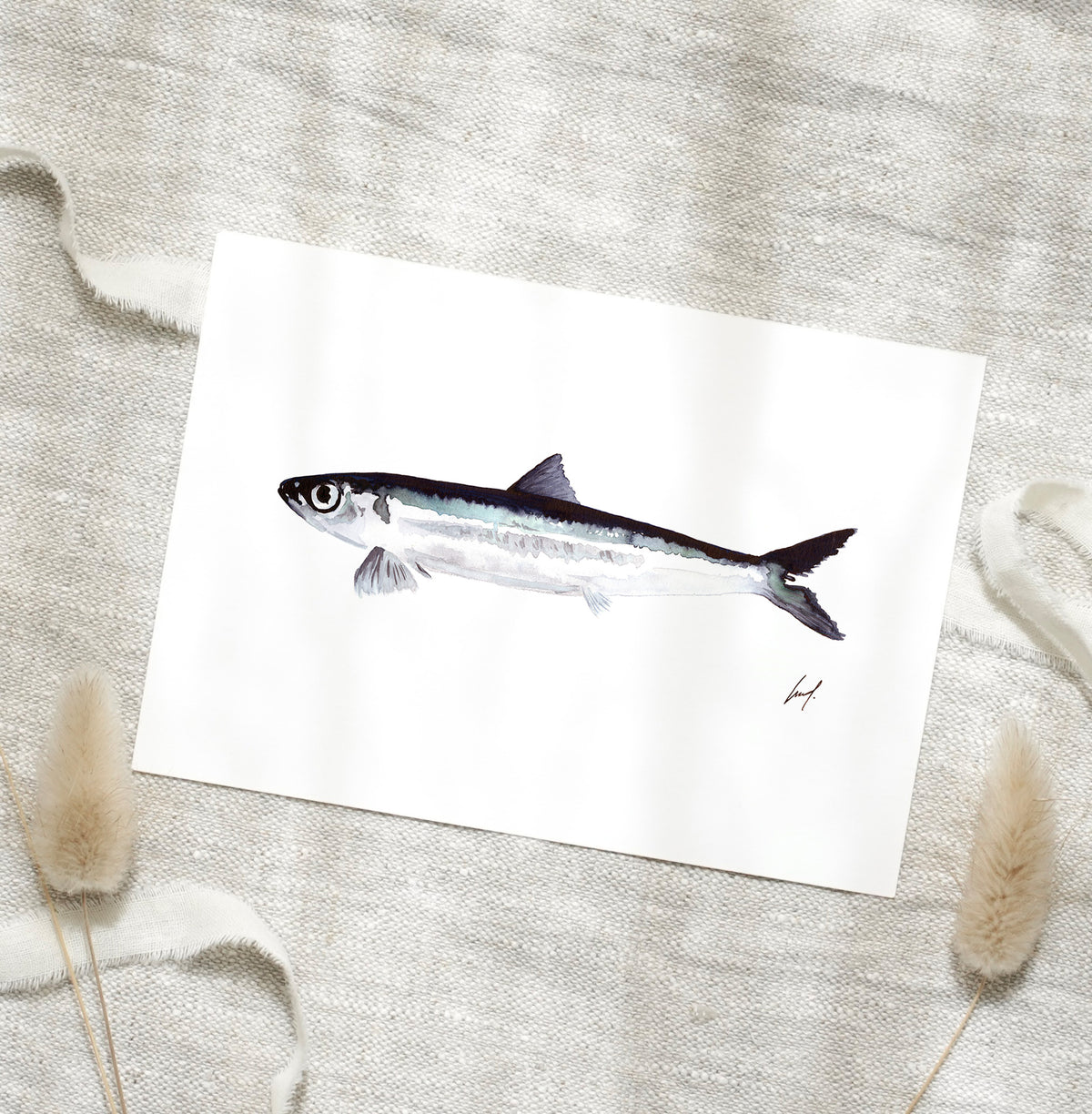 Postcard - Fish