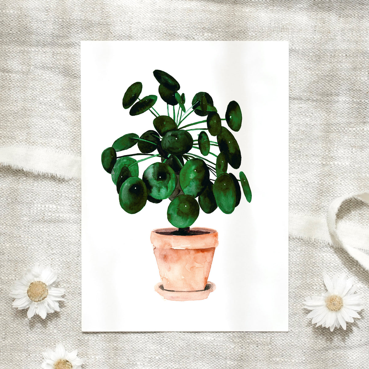 Postcard - Pilea