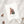 Postkarte · Best time of the year | Dackel