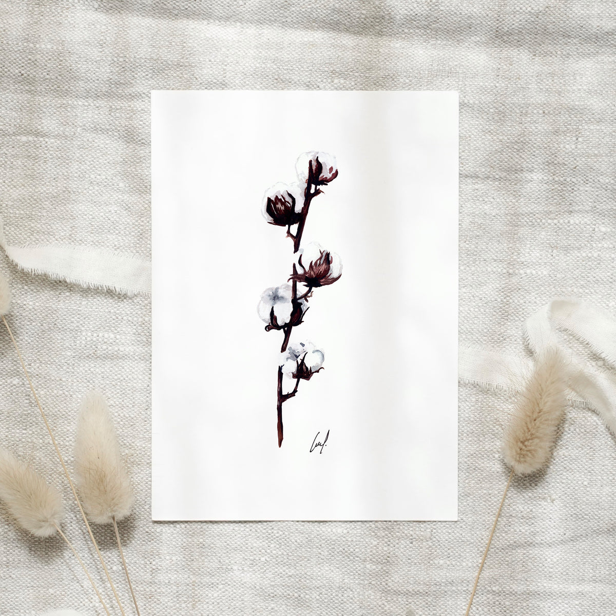 Postkarte · Cotton