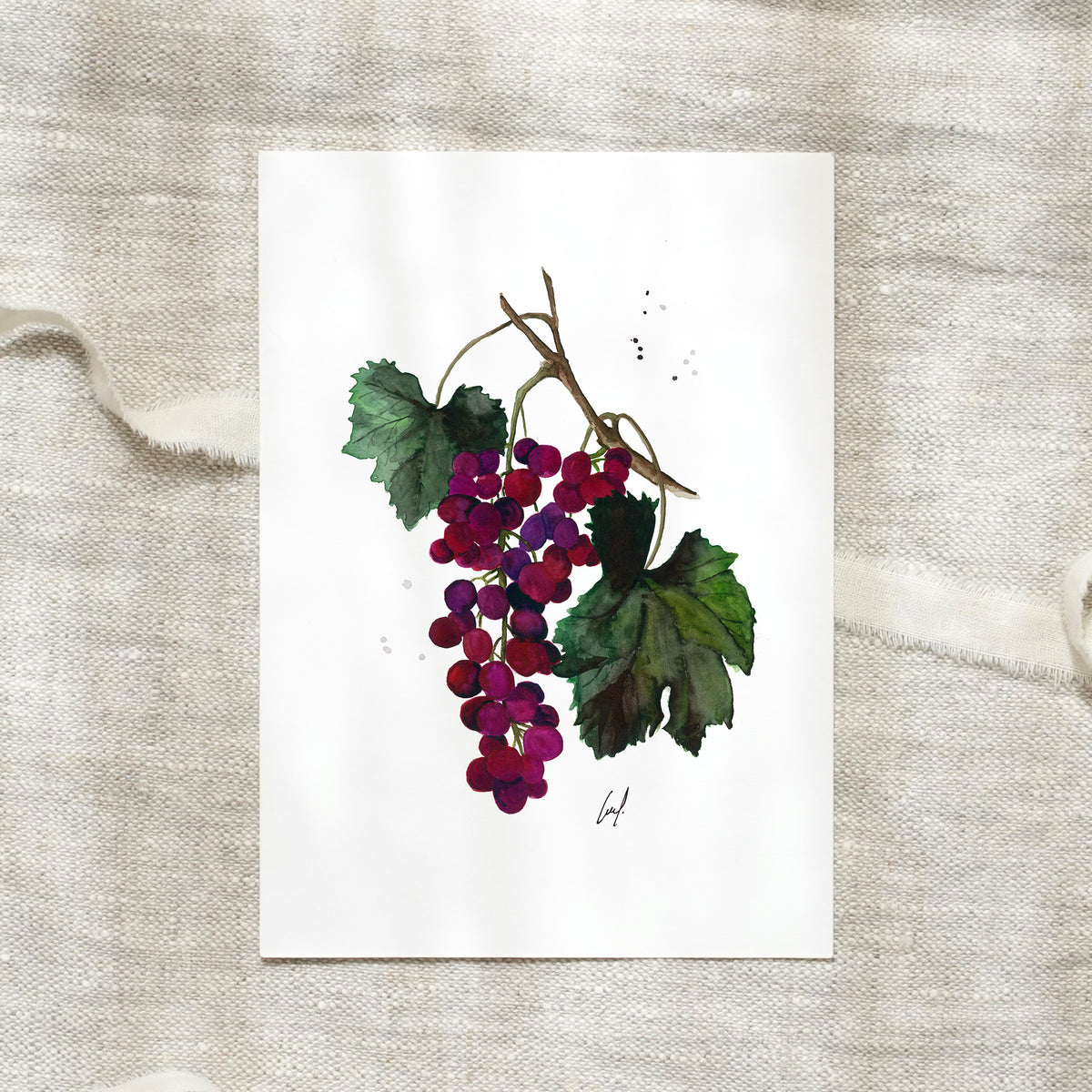 Postcard · Grapes