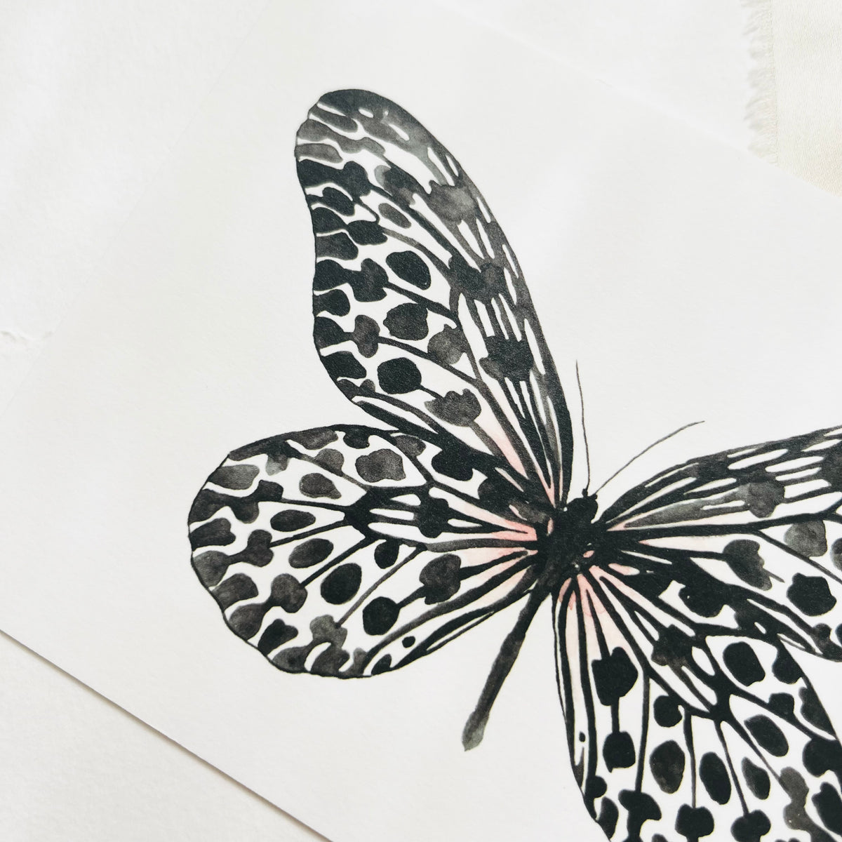 Postcard Black Butterfly