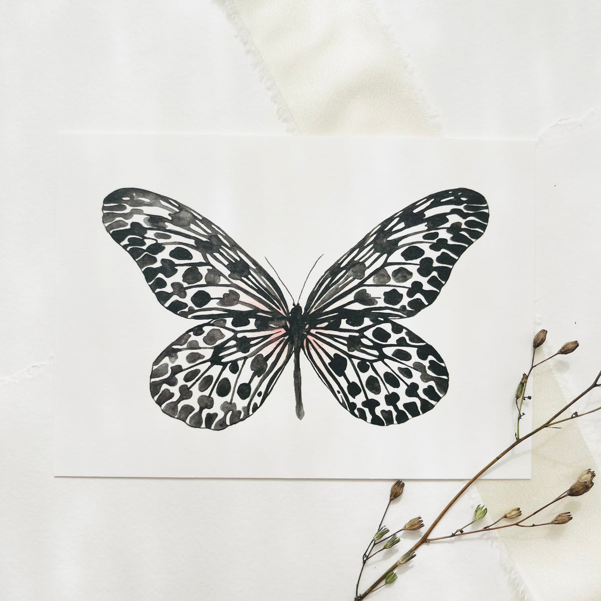Postcard Black Butterfly