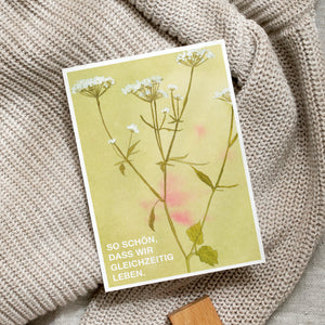 Postkarte · Wildflowers | So schön, dass wir gleichzeitig leben