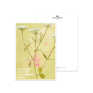 Postkarte · Wildflowers | So schön, dass wir gleichzeitig leben