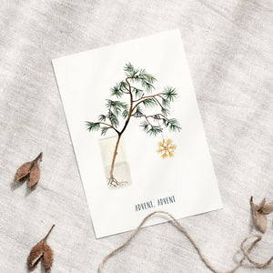 Postcard - Advent branch