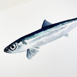 Original-Illustration |Fish Kunstdruck Leo la Douce 