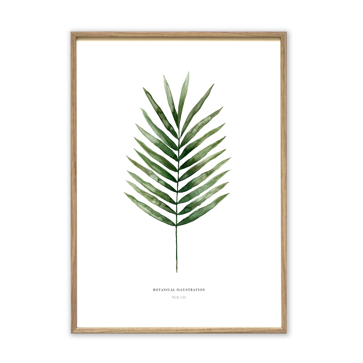 Kunstdruck - Palm Leaf Kunstdruck Leo la Douce 