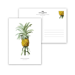Postkarte - ANANAS COMOSUS Postkarte Leo la Douce 