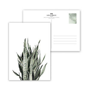 Postkarte - SANSEVIERIA Postkarte Leo la Douce 