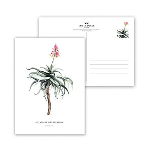 Postkarte - SUCCULENT Postkarte Leo la Douce 