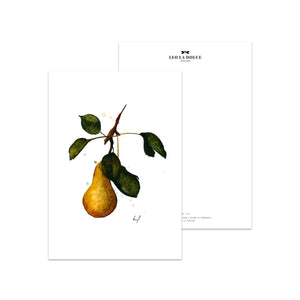 Postkarte - PEAR Postkarte Leo la Douce 
